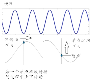 一口气了解︱波的物理学，以及横波的基本原理、描述和波动方程