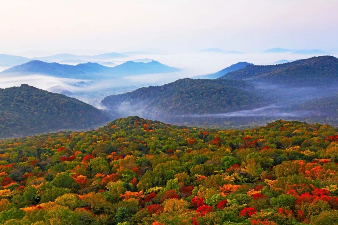 黑龙江省伊春,绥化市5a,4a级旅游景区名录,喜欢的收藏