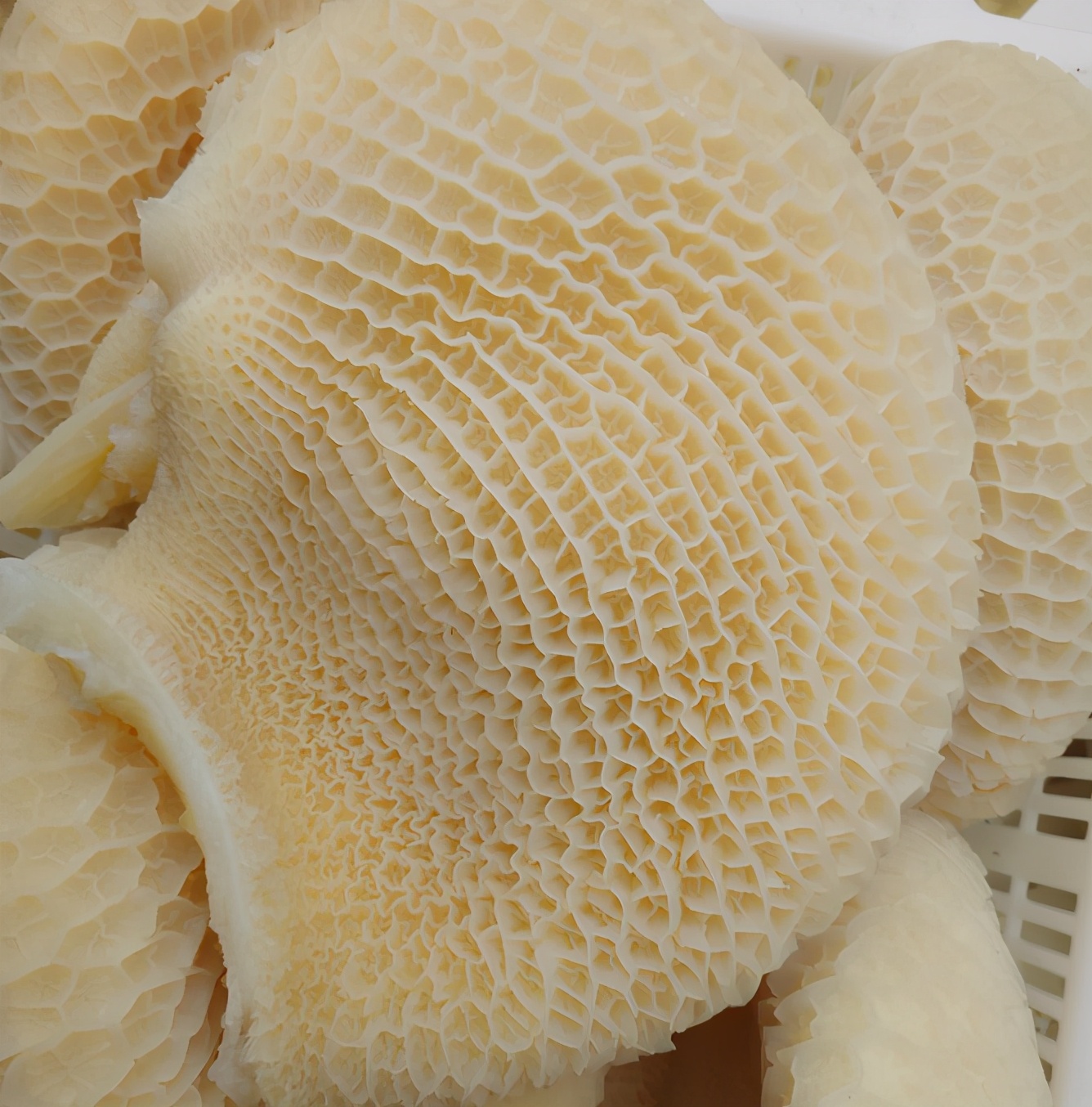 牛肚的处理方法牛肚怎么处理