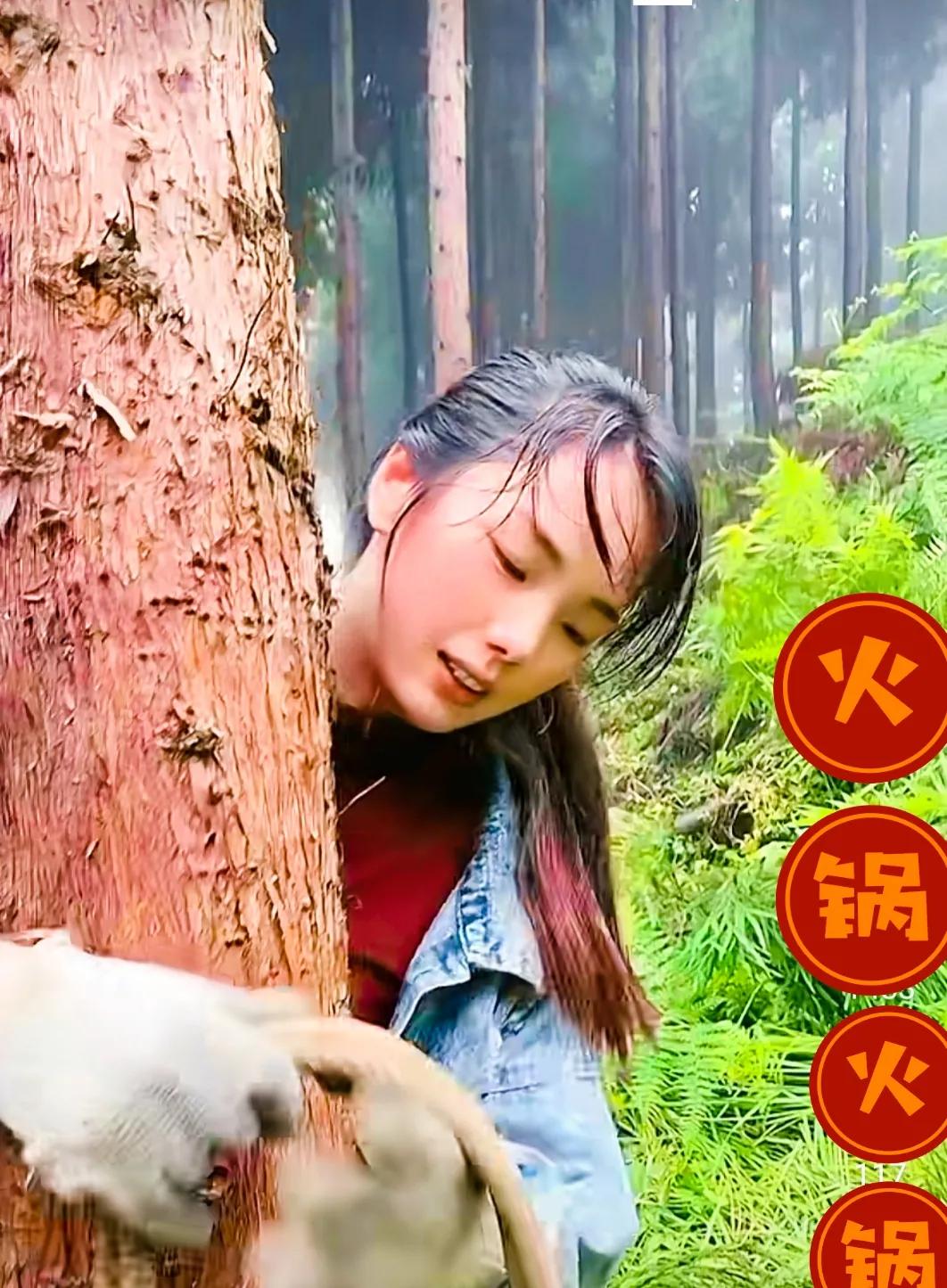 在大山里砍树的果果妹其实很赚钱，最近想找个男朋友