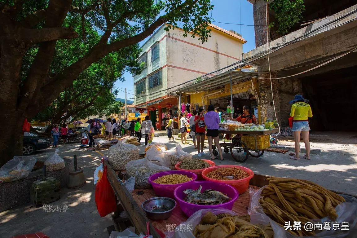 清远北江河边有个小渔村~白庙，还有个娃娃鱼养殖基地雪鲵庄园