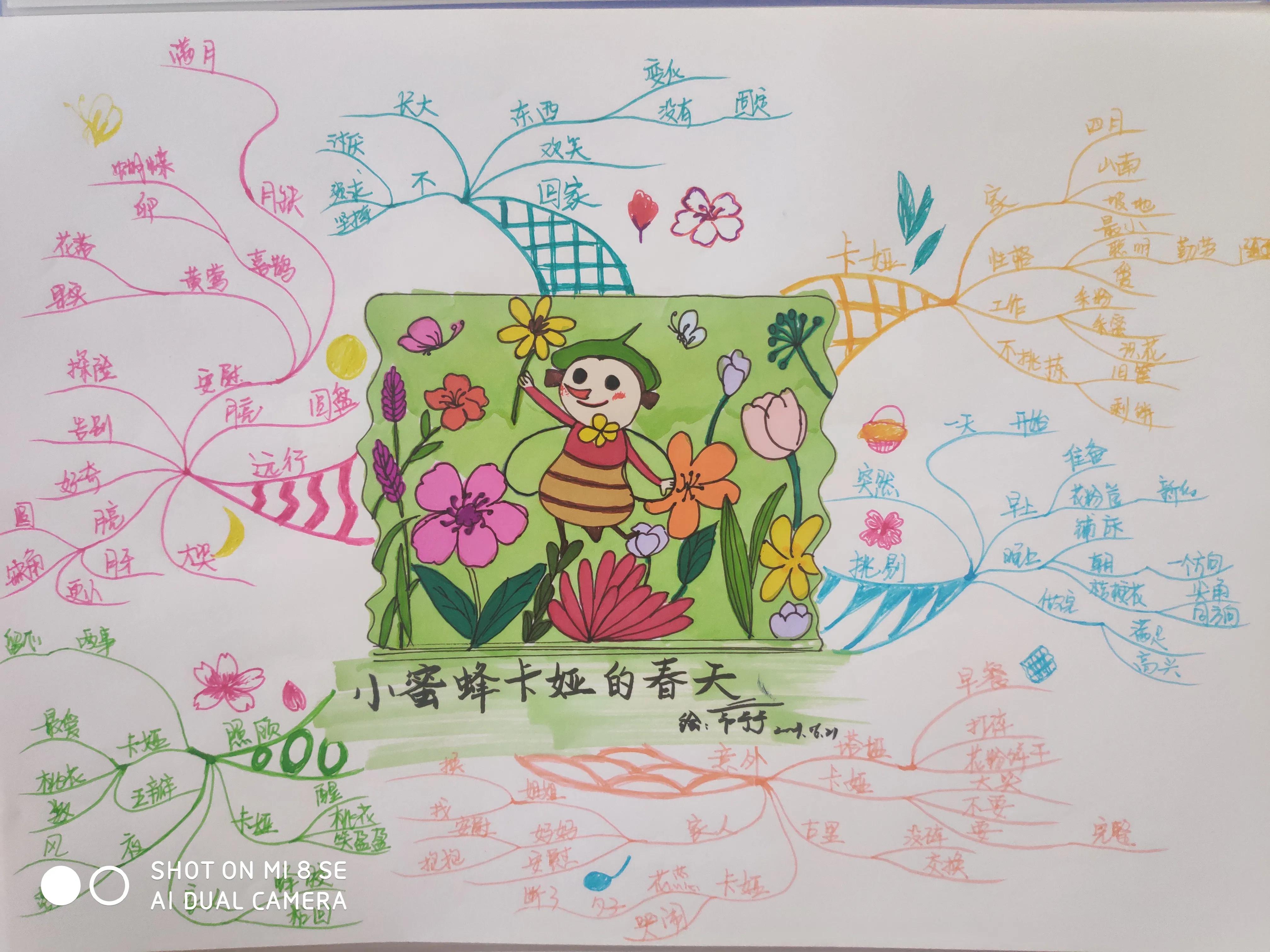 手绘思维导图分享：绘本《小蜜蜂卡娅的春天》
