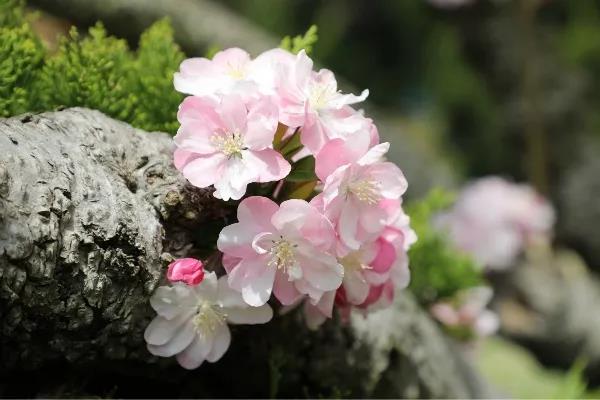 高清曝光！坐拥神仙颜值，山东最美“校花”就在这所大学里！