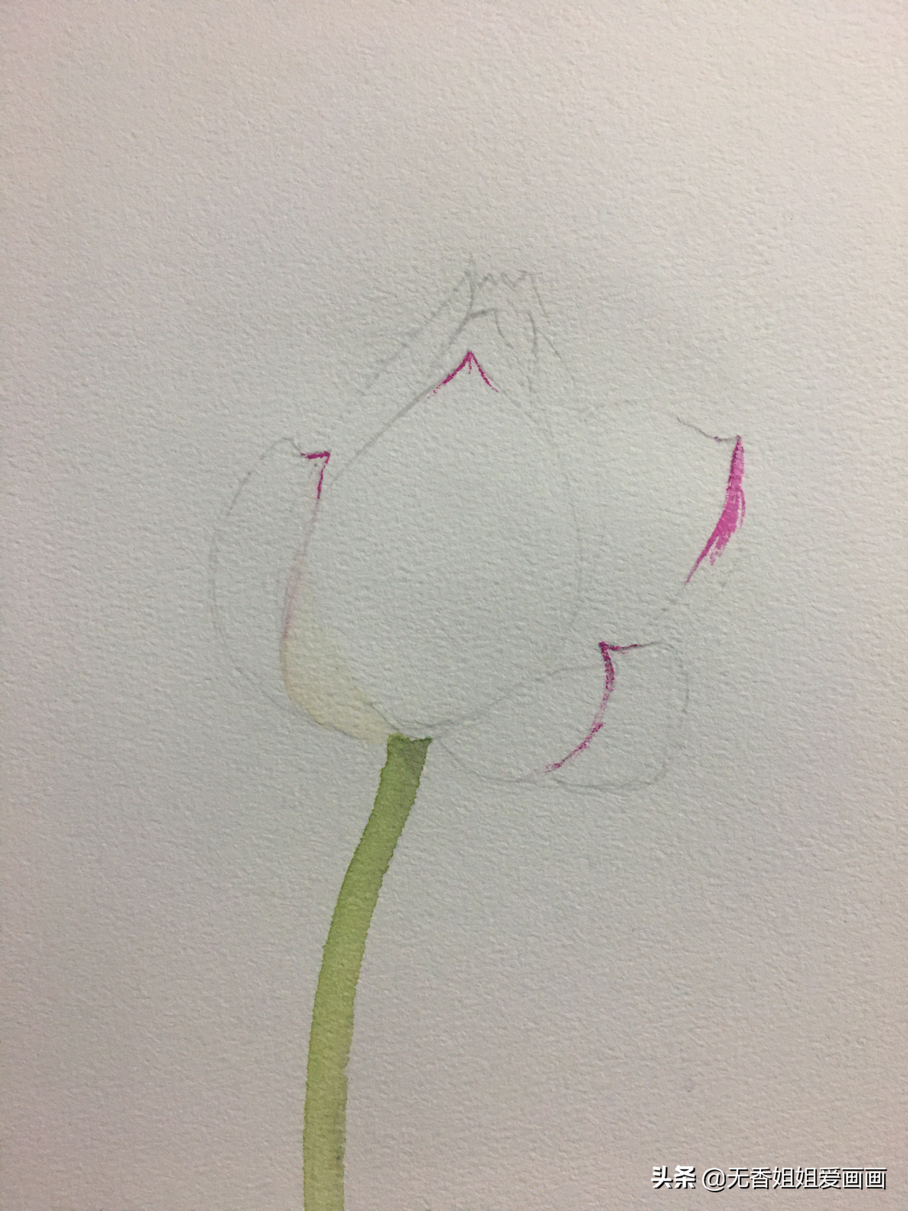 如何简笔画一朵美丽的荷花