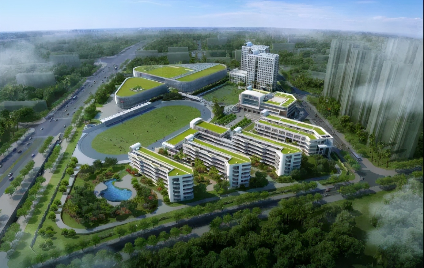 家长愁秃了头！厦门多所学校生源爆满，部分学校超员