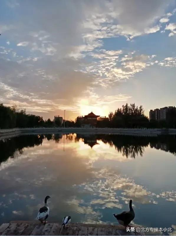 沧州师范学院：招生比2020年招生减少了200人