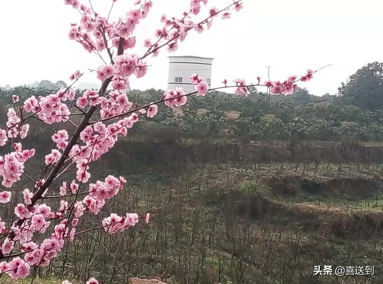 婆媳之间相处生活中，强势的婆婆最怕的是什么，应该怎么办呢？
