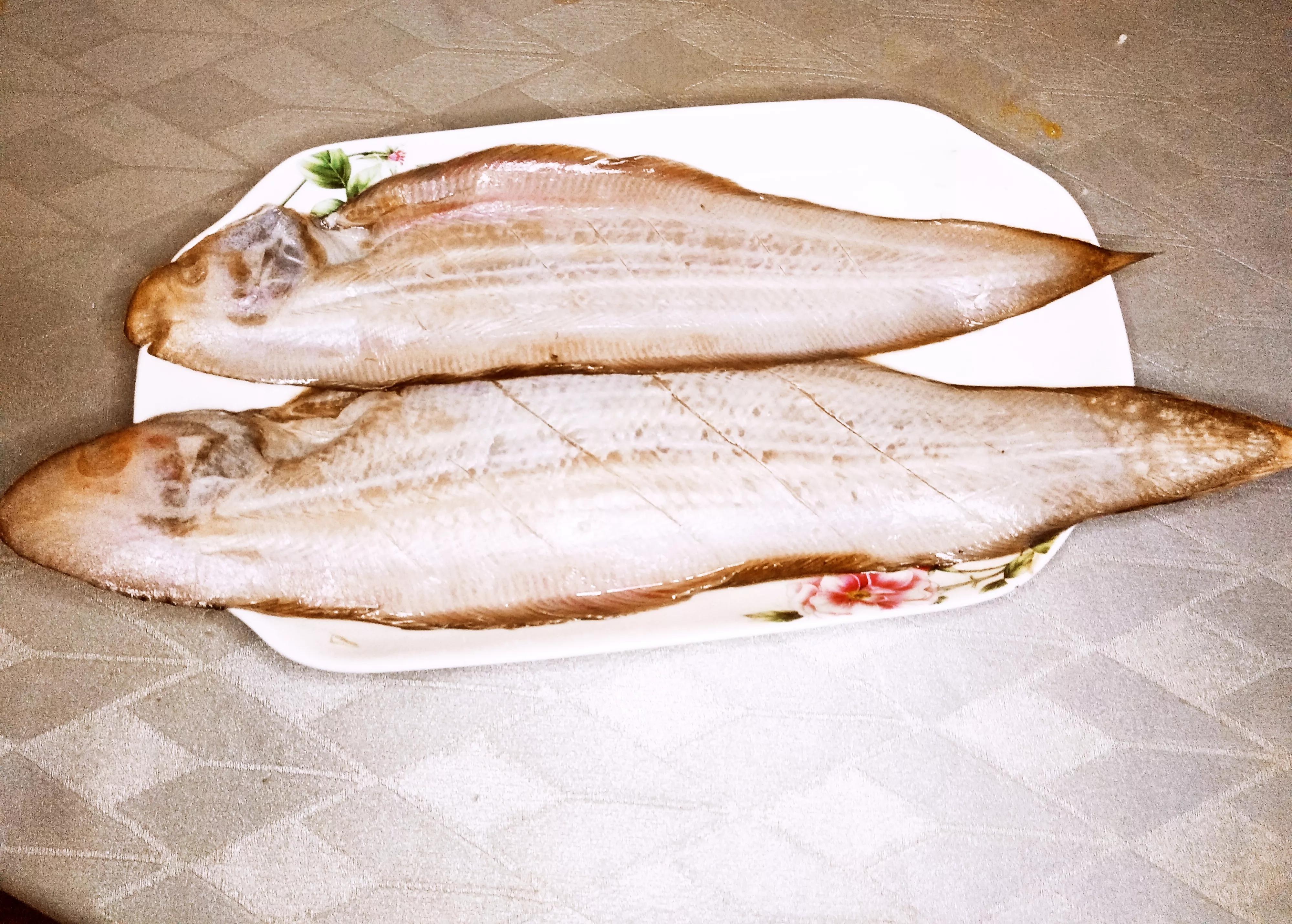 海魚的種類圖片,海魚種類名稱圖片大全