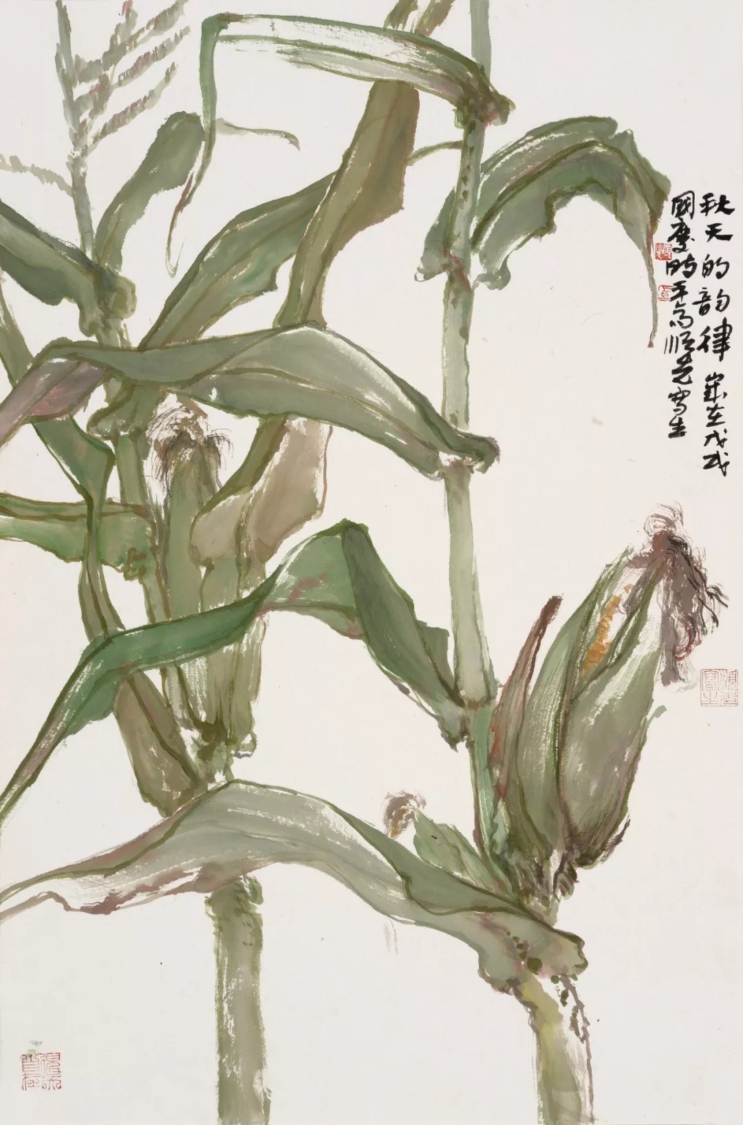 田野畅想曲 | 马顺先的玉米写生