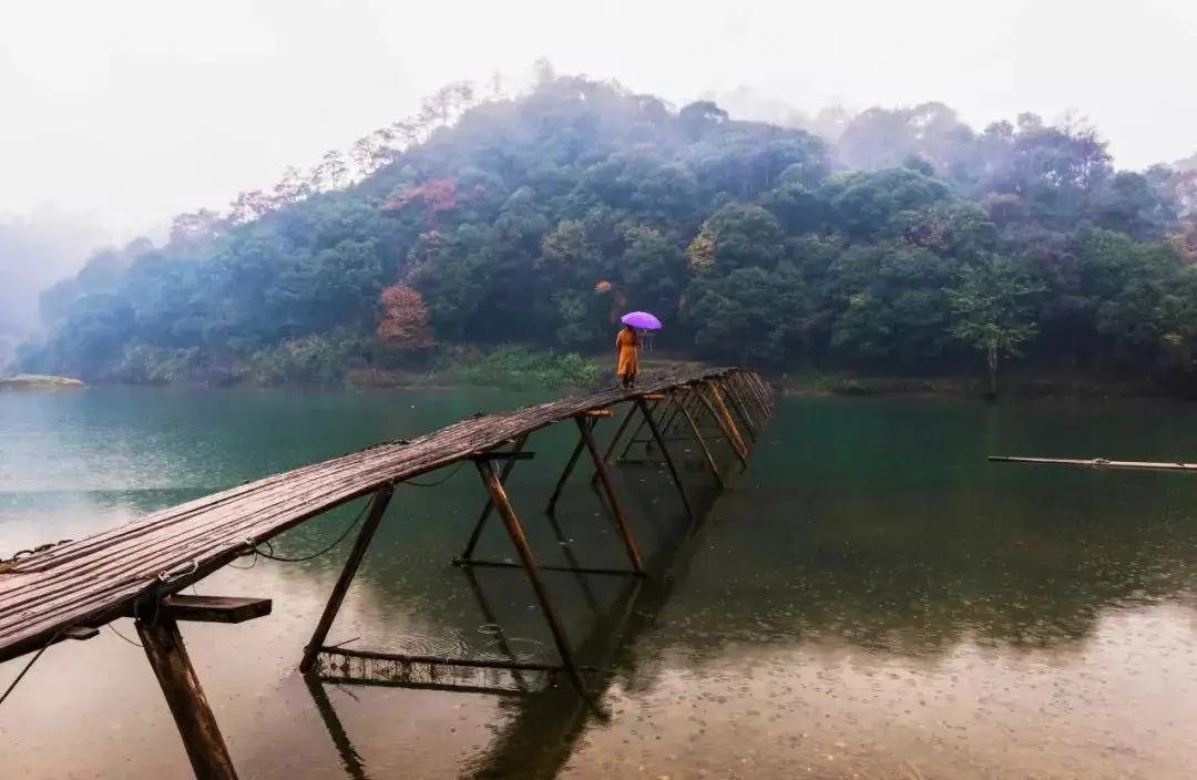 唐诗宋词：有唯美清新雨，有雨寄深情，人生岁不同，听雨声滴不同