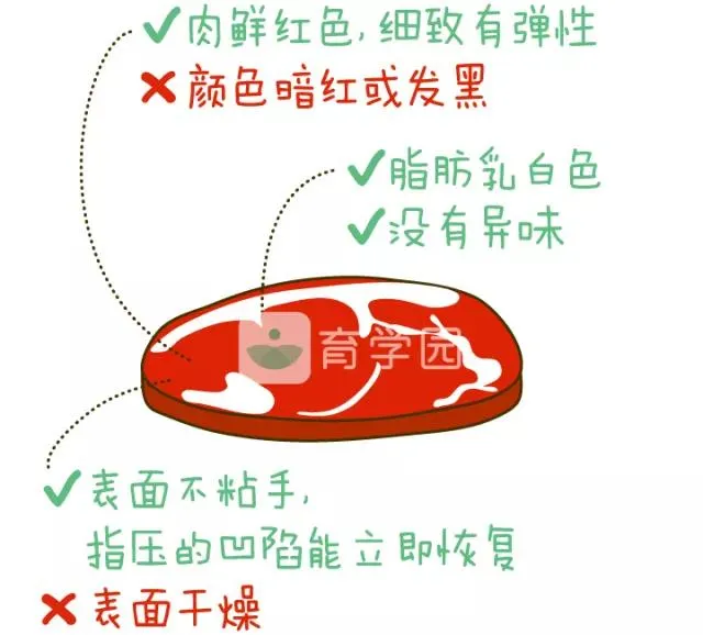 宝宝多大可以吃肉？什么肉最有营养？看这篇就够了