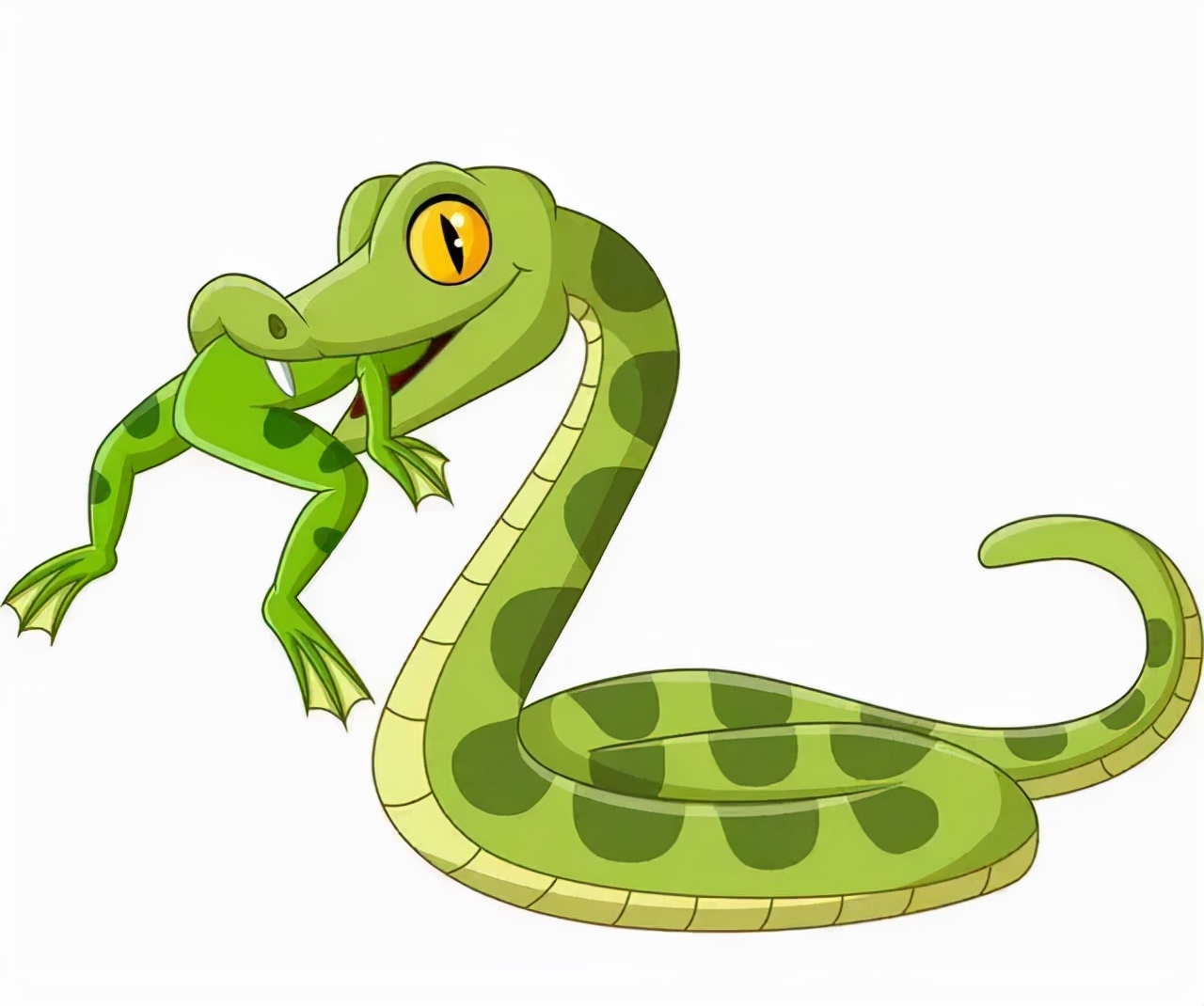 水蛇的人运势如何_达一风水网