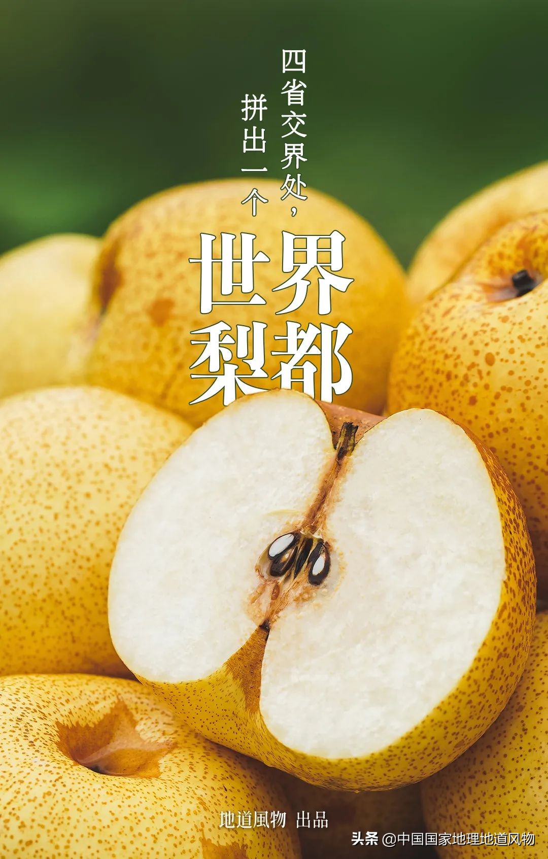 永城至宿州汽车时刻表（四省交界出行必备）