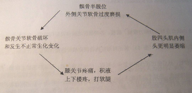 为什么丁彦雨航不去nba打球(深度解析：丁彦雨航因何放弃NBA之梦，采访时回应球迷深感惋惜)