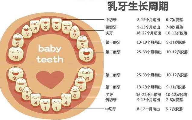 宝宝在出牙前有“暗示”，家长做好辅助工作，帮娃顺利度过长牙期