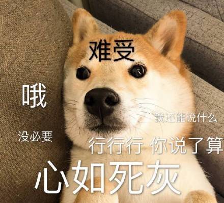 呆萌柴犬表情包：下面听我说，我们都是狗