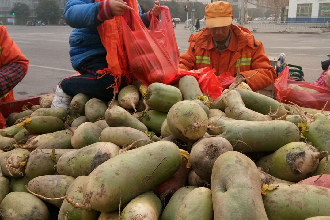 耐储存的蔬菜有哪些（这6种蔬菜可以多买点耐储存）