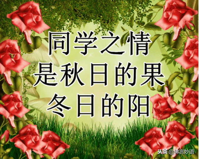 佛言妙语】同学情，永难忘，祝福每一位老同学平安，健康，快乐！