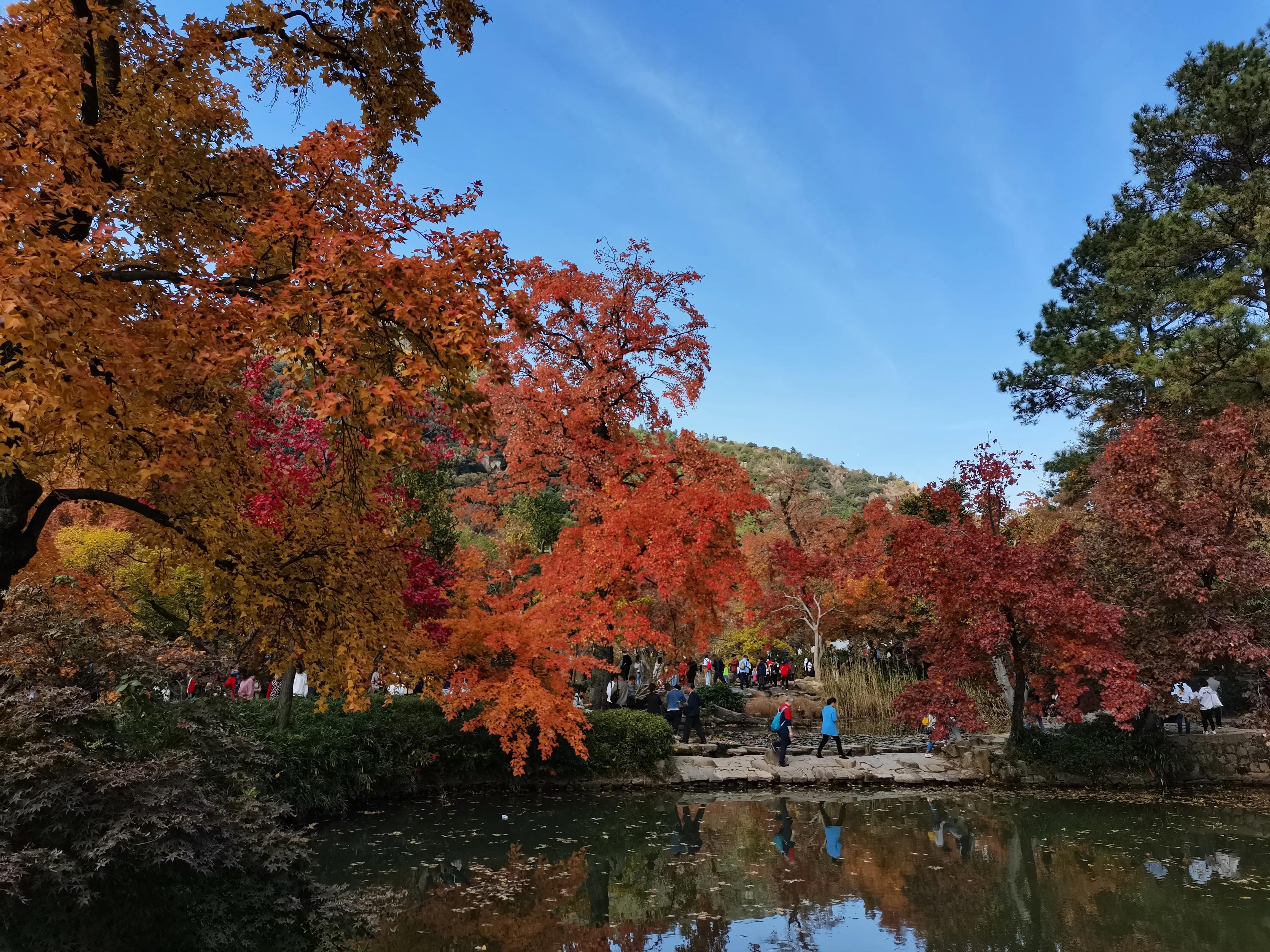 天平山下枫叶红---也说范仲淹在苏州的历史地位