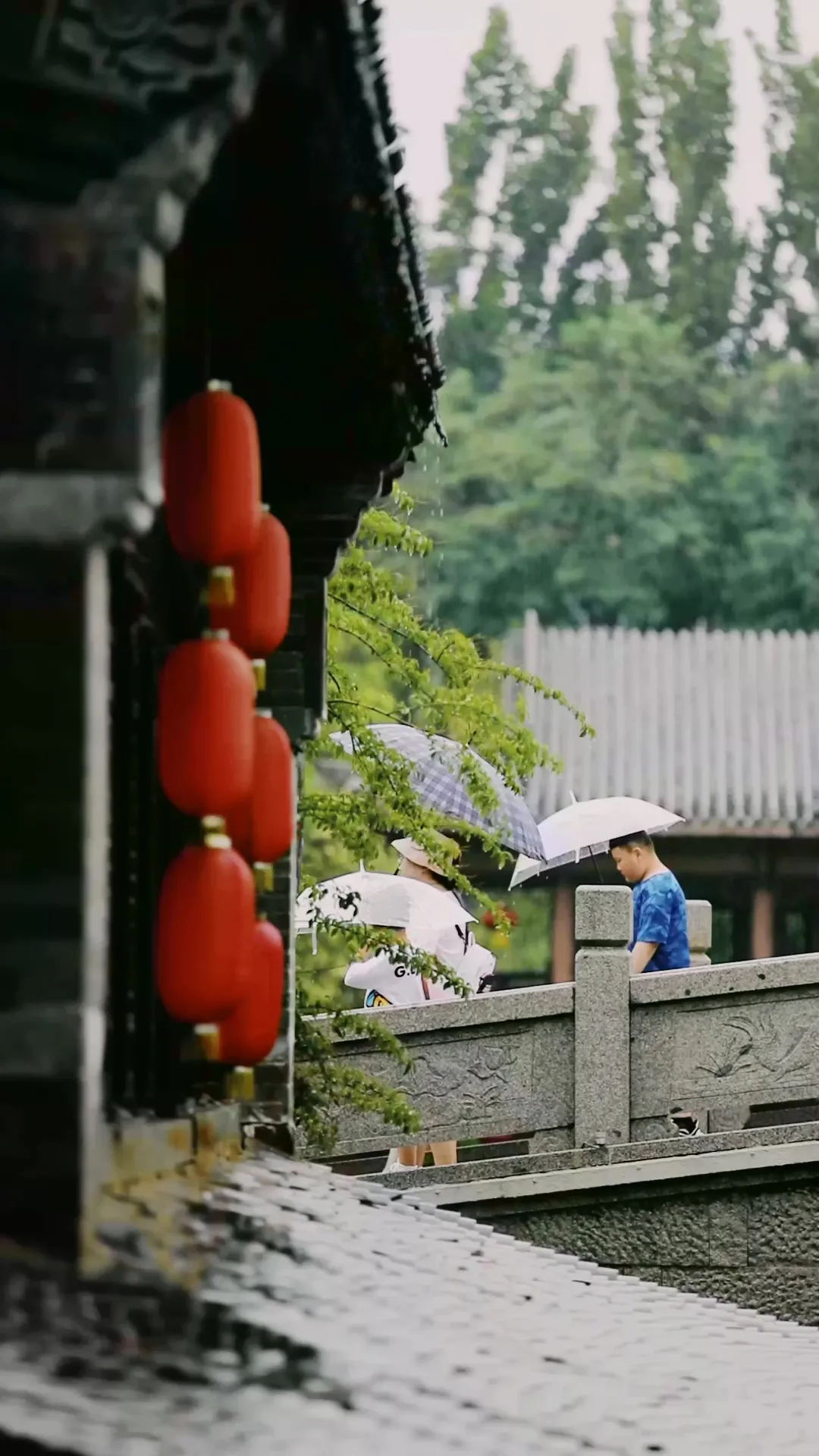 六月人间 | 古城之韵，烟雨蒙蒙让人沉醉