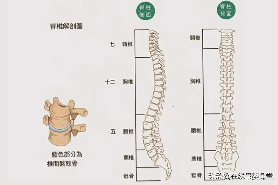 婴儿几个月可以枕枕头（宝宝多大可以用枕头）