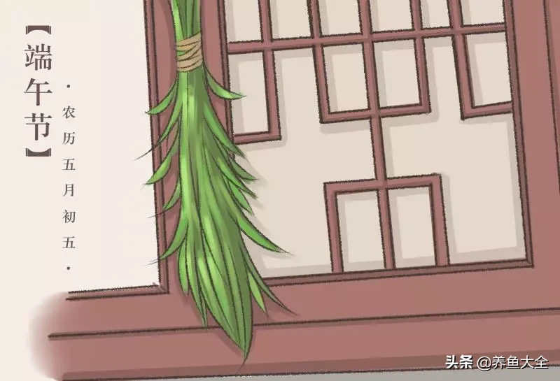 端午节：致爱我和我爱的人