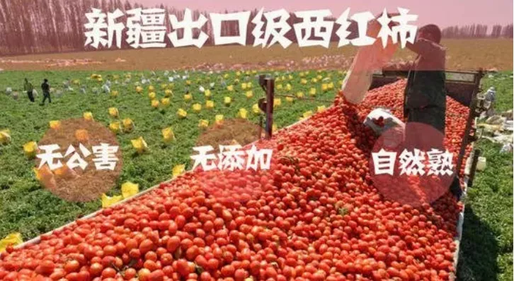 被官媒痛骂,一夜凉透!在中国年赚74亿的H&M,为何非要作死