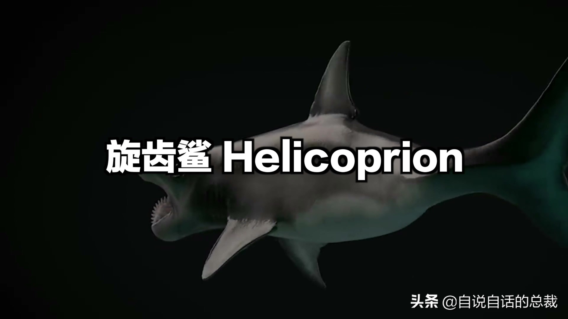 5种比巨齿鲨还恐怖的海怪，背后隐藏着一个人类起源的故事