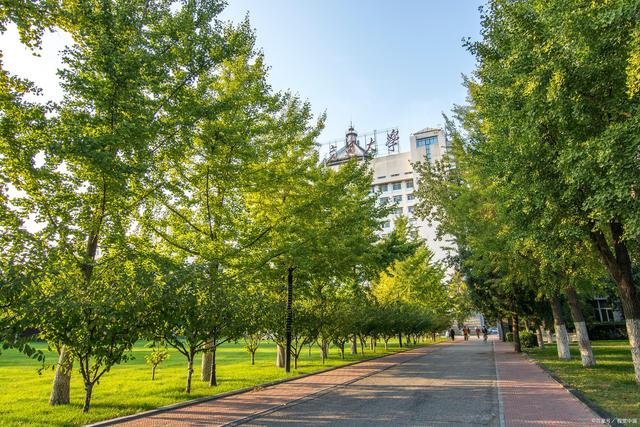 北京这5所高校，就业不输985！考上家长不用担心孩子的前途