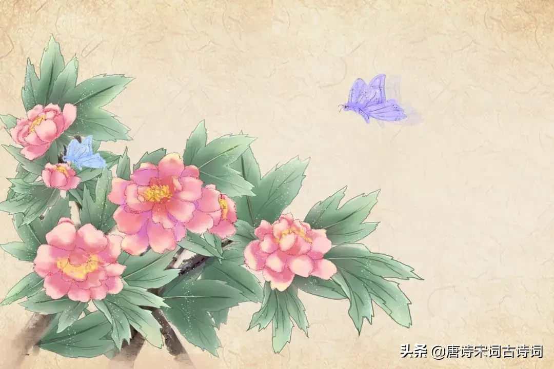 十二首牡丹诗词，哪一首是你心目中的牡丹形象呢？