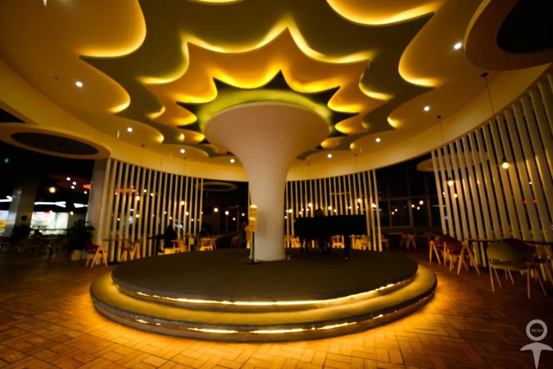 经常上热搜？揭秘四川这所高校的