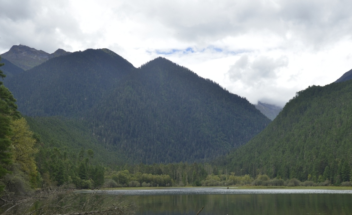 山，人格化的象征：毛主席的《五律.看山》写出他与山的特殊情结