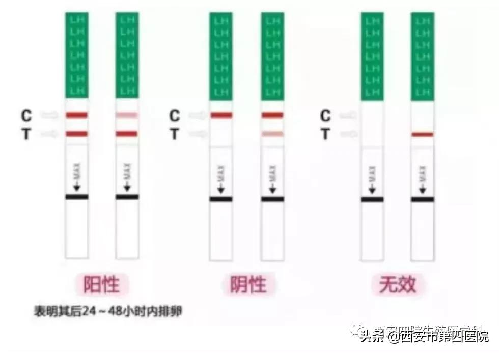 #健康中国行动2030# 排卵试纸应该怎么用?
