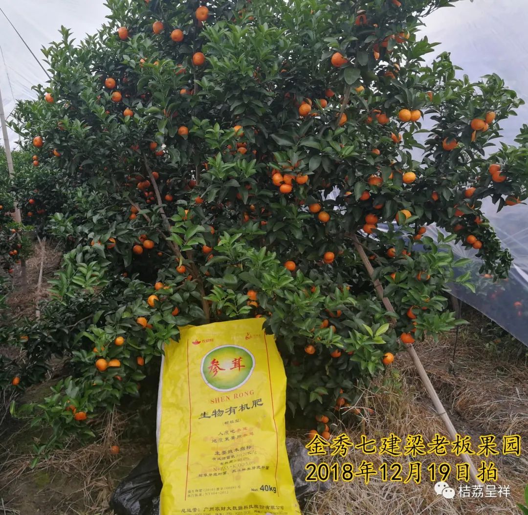 冬肥备了吗？80元一包还包邮的大牌有机生物菌肥来看看