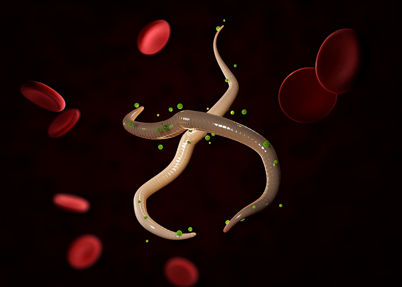 以前人们肚子里常有的"蛔虫",为什么现在没人听说过了?