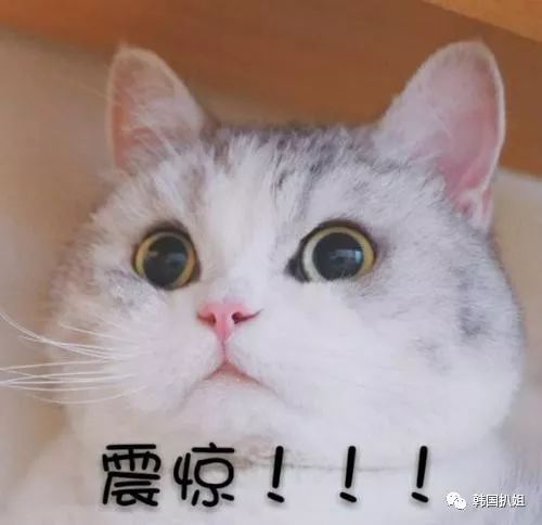 揭穿韩国年轻人的