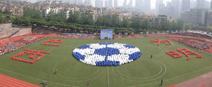 一年学费20万，在重庆上个小学也太贵了吧！看完数据你就知道了