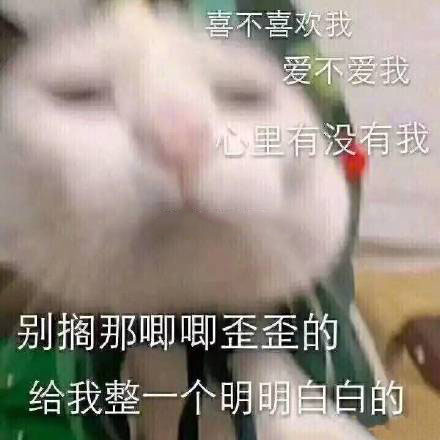 向男孩子表白的表情包：和我在一起，我比别人多了十几斤肉在爱你