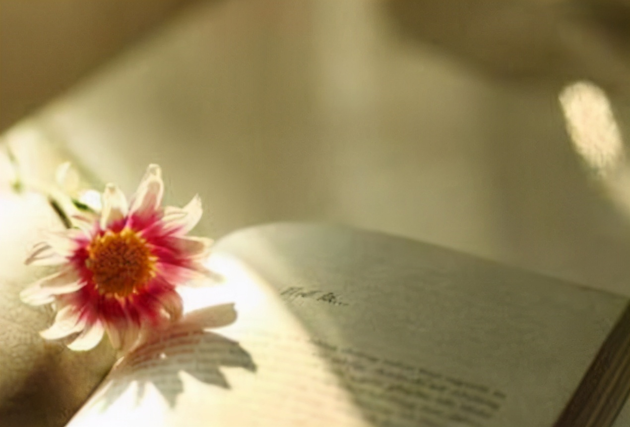 余生愿你：累了有人疼，难过有人懂，伤心有人拥