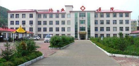 [黑龙江] 牡丹江林业中心医院，2020年招聘医生、护士等77人公告