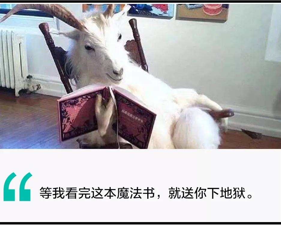 我卧底巫师聚集地，发现2020年还有那么多人在学魔法