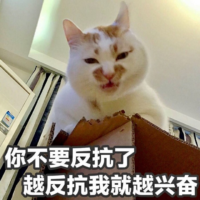 是杠上开花?还是什么?