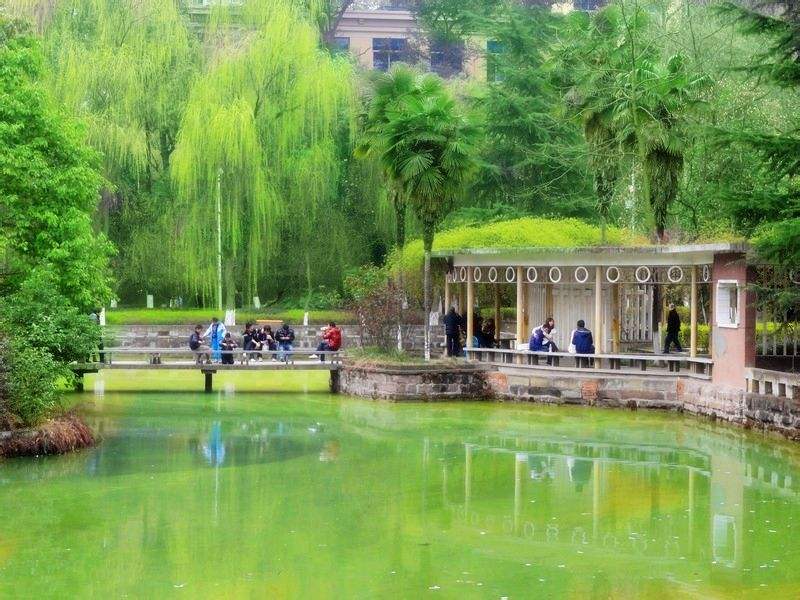 两所高校，一所双一流，录取分530—580左右！各具特色，值得报考