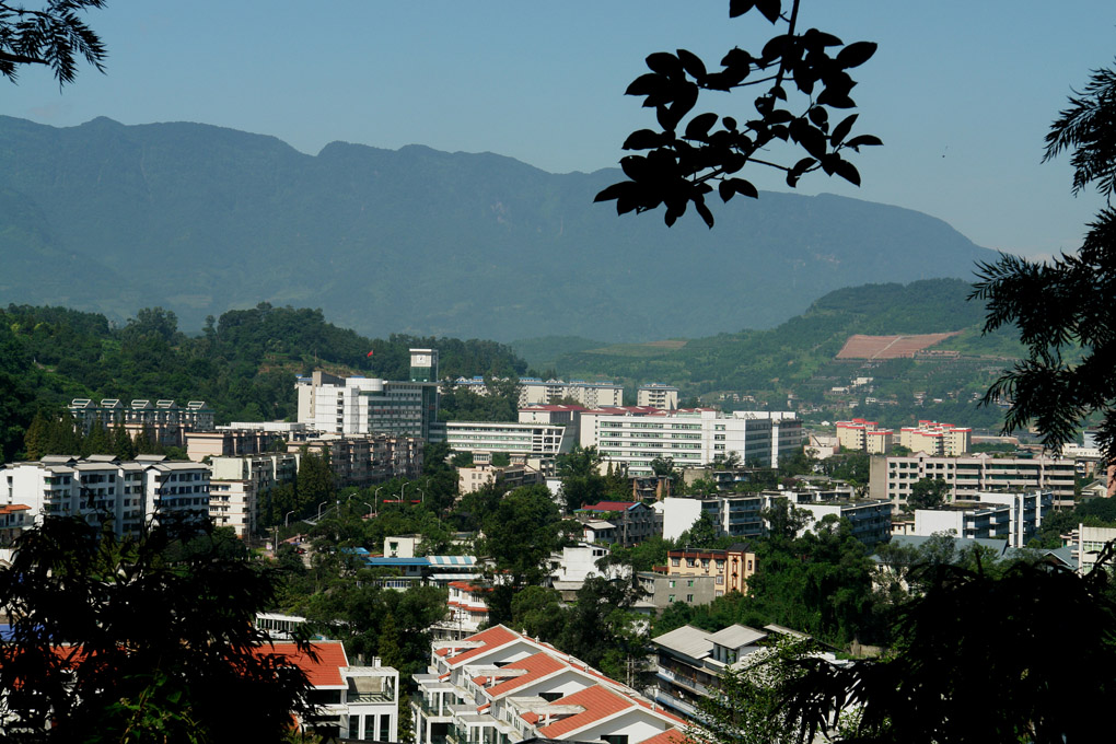 “双一流”四川农业大学艺考政策解读，美术生多少分可以录取？