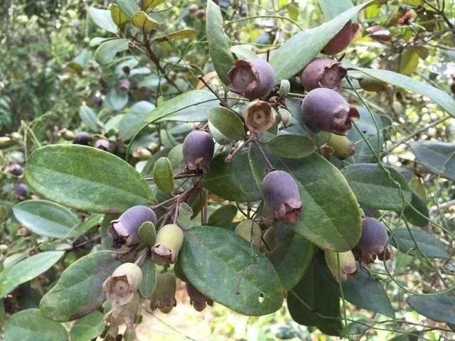 80后才读得懂
