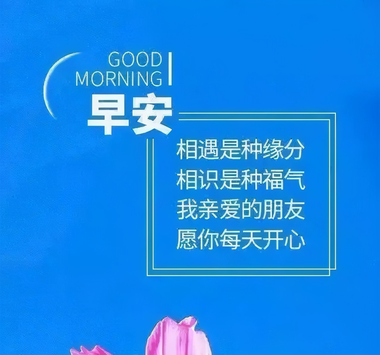 学会放弃，拽的越紧，痛苦的是自己