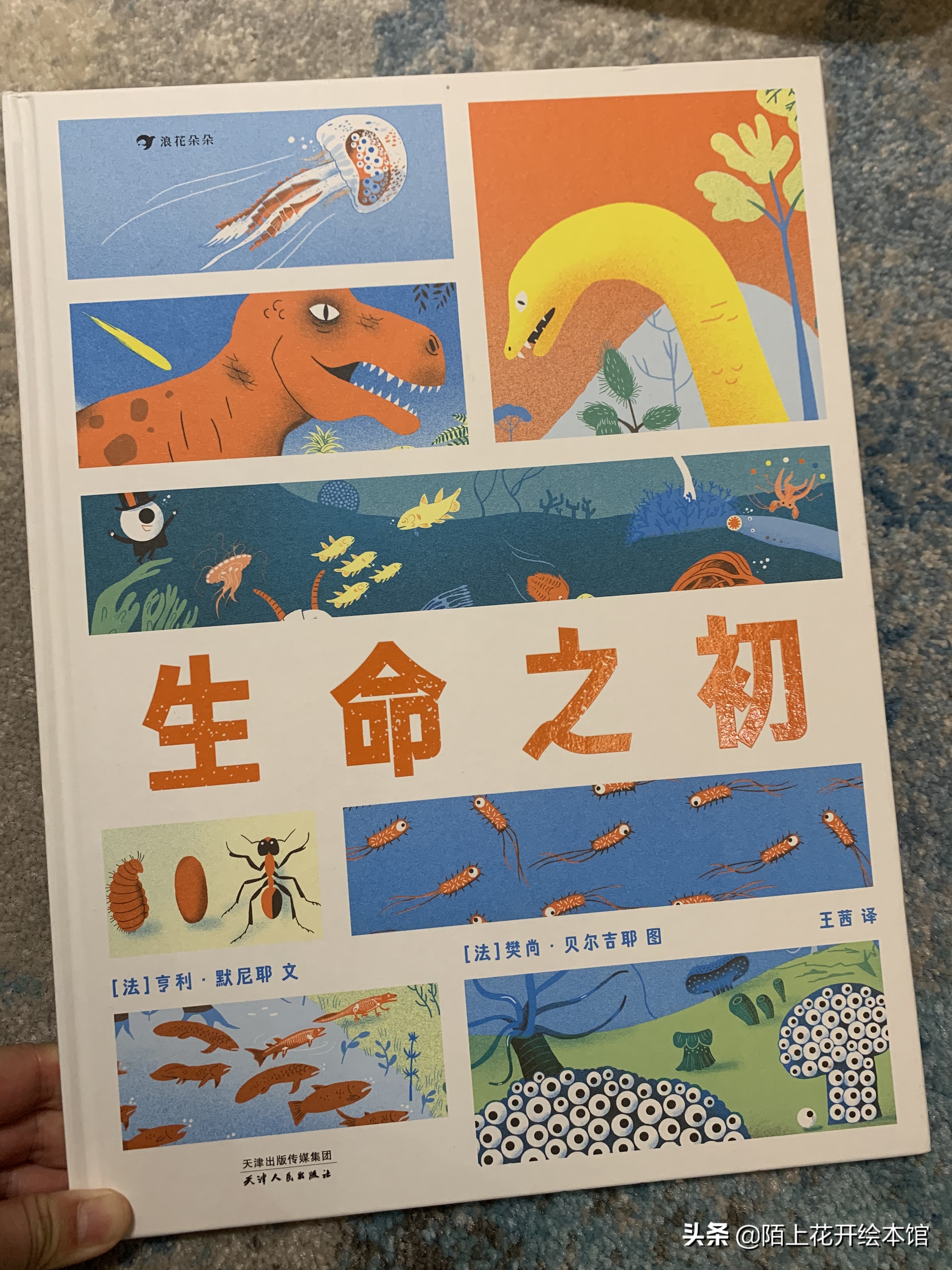 浪花朵朵童书推荐：绘本生命之初的奥秘，全在这张思维导图里