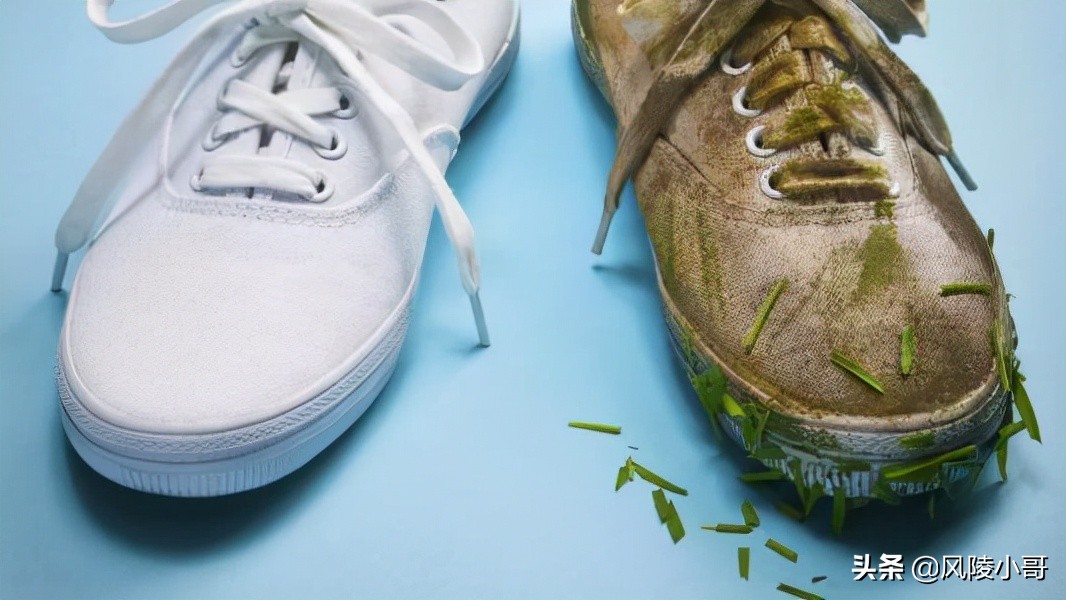 俗语：“四最毒、四最喜、四最膈应人”，指的是什么？你知道吗？