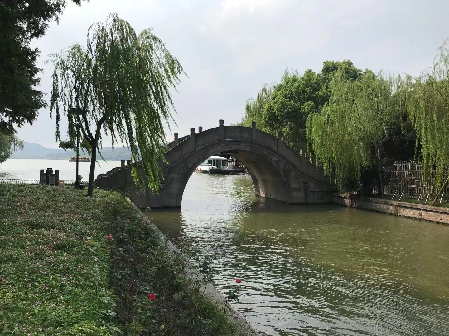 【人间最美是西湖】碧波荡漾映翠色，苏堤春晓绿意浓