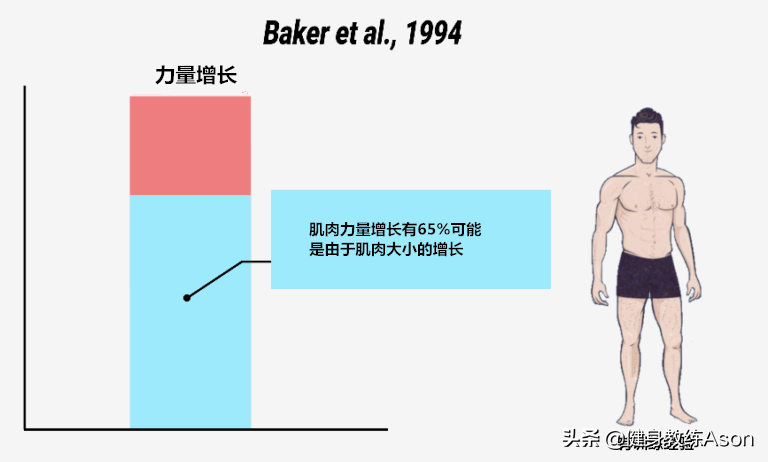 三个建议帮助你加快肌肉增长！